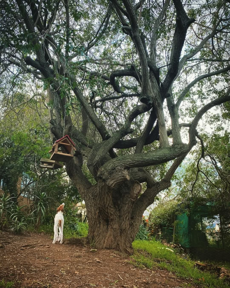 2 Bedroom Property for Sale in Bot River Avenues Western Cape